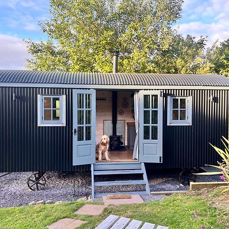 Mountain View Shepherd'S Hut For 2 Adults, 1 Dog Villa Llangoed Kültér fotó